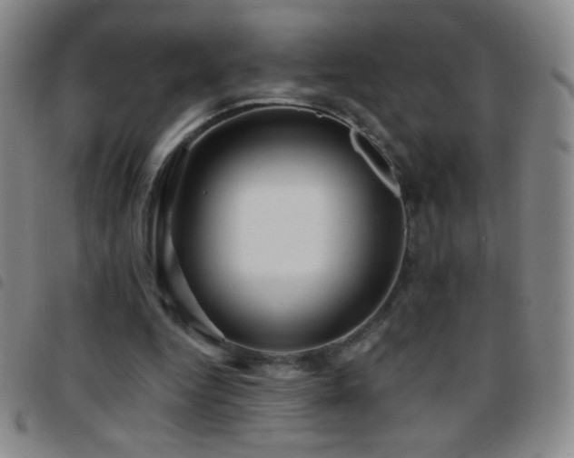 X0000097850344200803141222