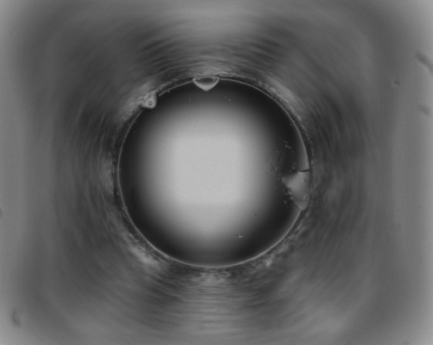 X0000097850345200803141222