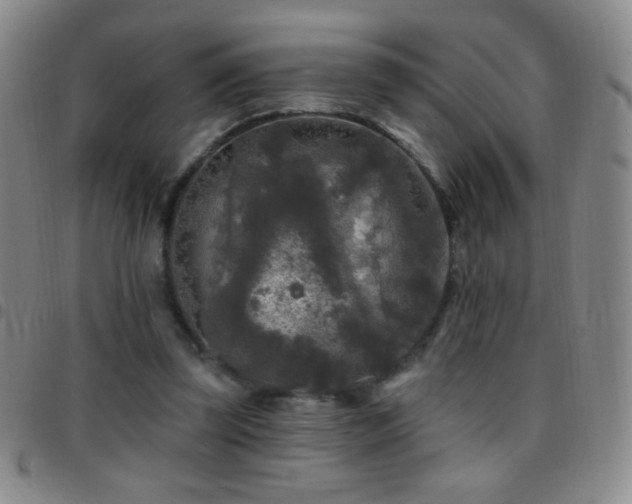 X0000097850347200803141222