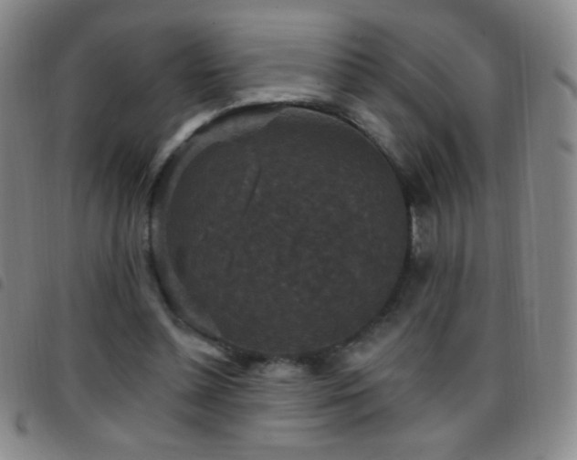 X0000097850348200803141222