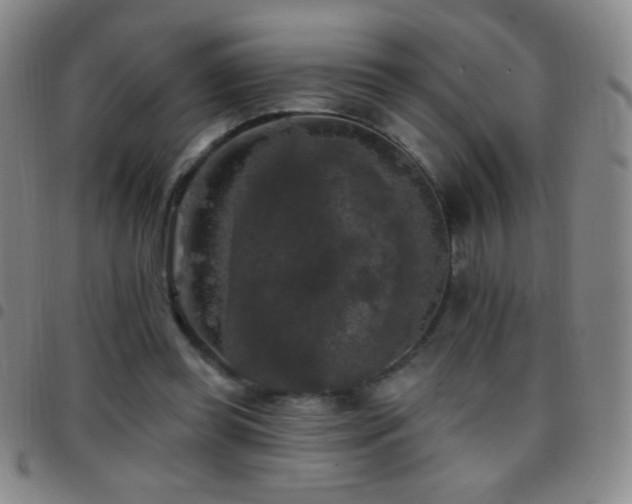 X0000097850349200803141222