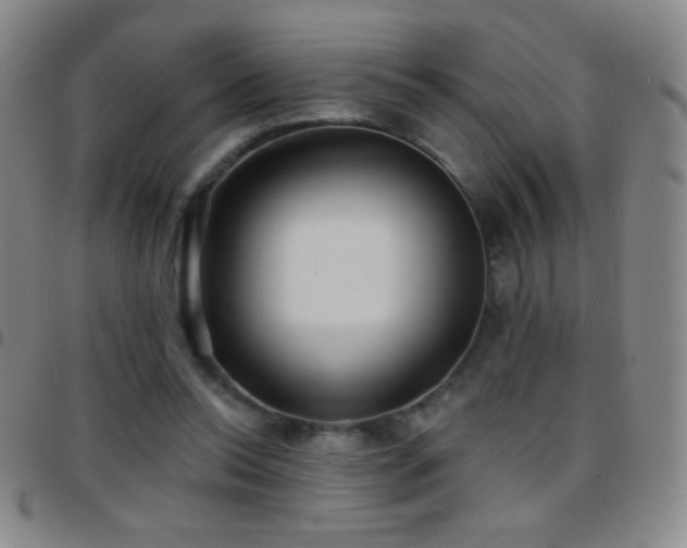 X0000097850350200803141222