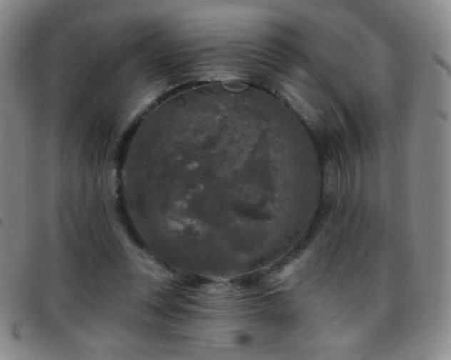 X0000097850351200803141222