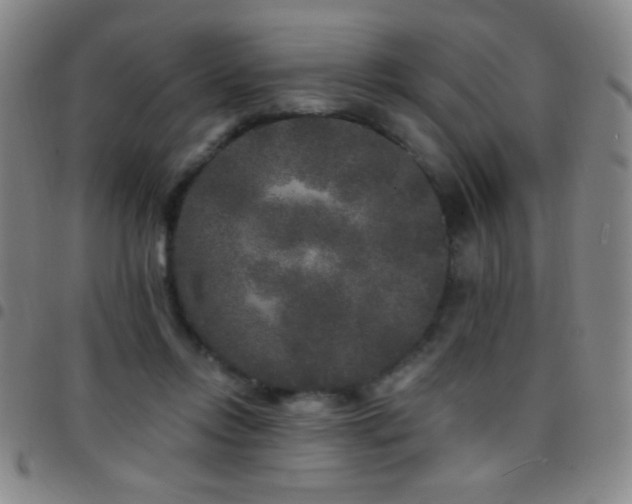 X0000097850358200803141222