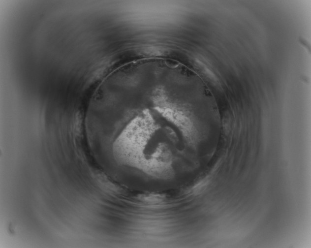 X0000097850359200803141222