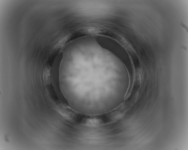 X0000097850360200803141222