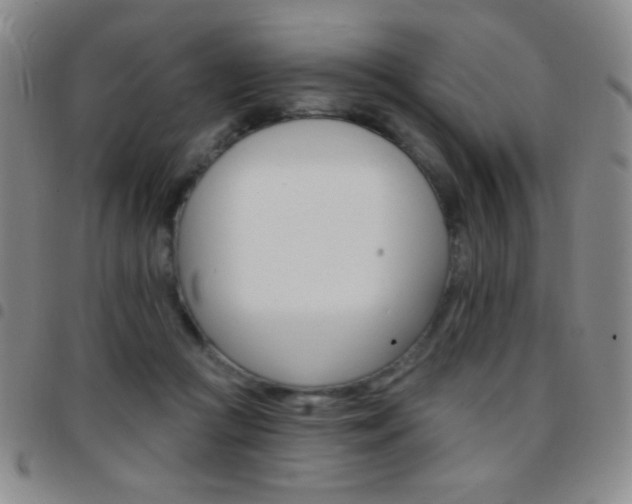 X0000097850361200803141222