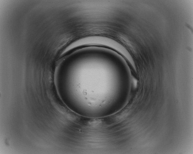 X0000097850362200803141222