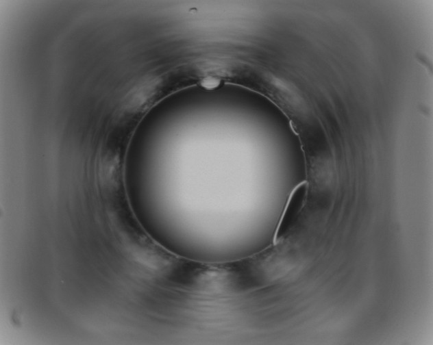 X0000097850364200803141222