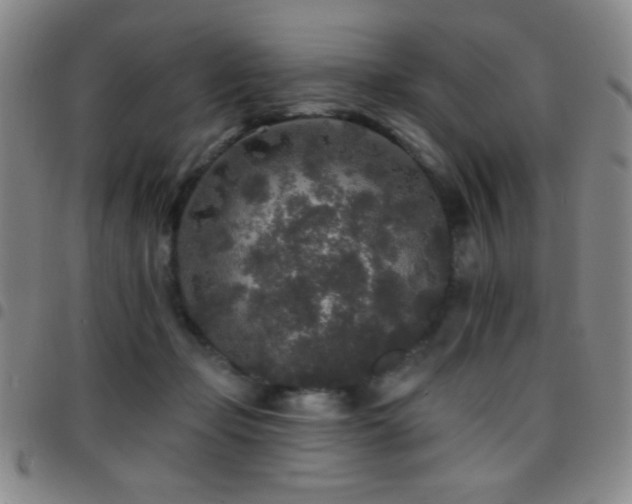 X0000097850365200803141222