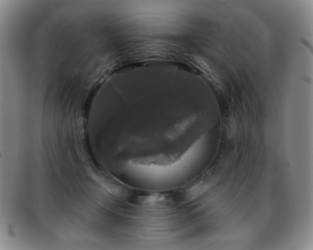 X0000097850366200803141222