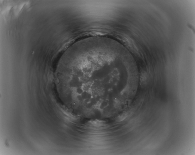 X0000097850367200803141222
