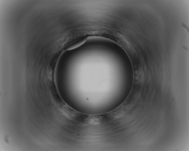 X0000097850368200803141222