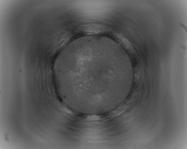 X0000097850369200803141222