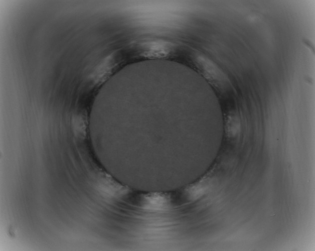 X0000097850370200803141222