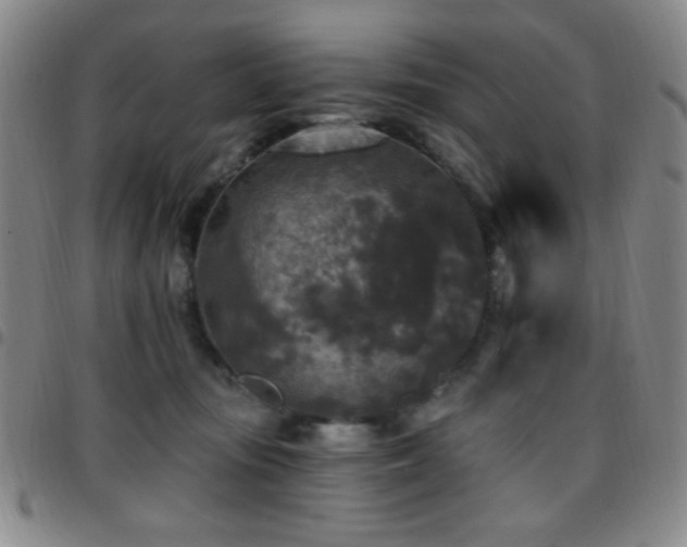 X0000097850371200803141222