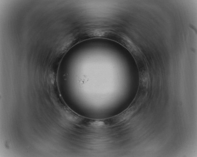 X0000097850374200803141222