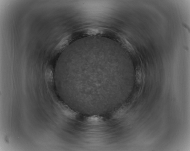 X0000097850375200803141222