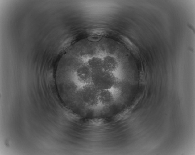X0000097850377200803141222