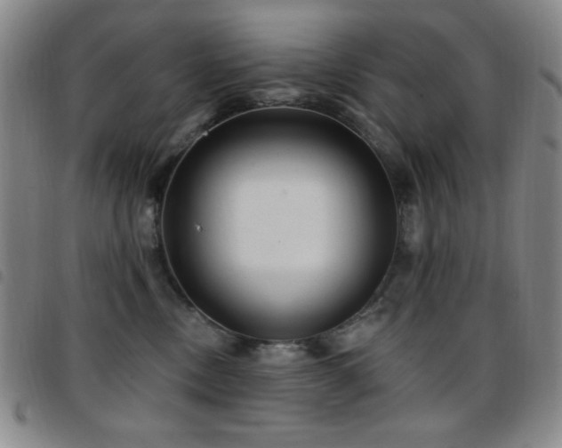 X0000097850378200803141222
