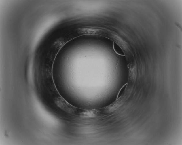 X0000097850381200803141222