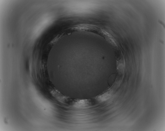 X0000097850382200803141222