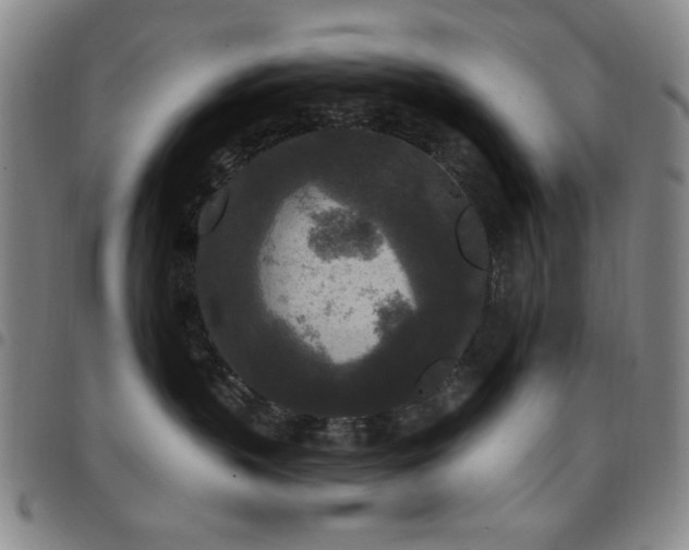 X0000097850383200803141222