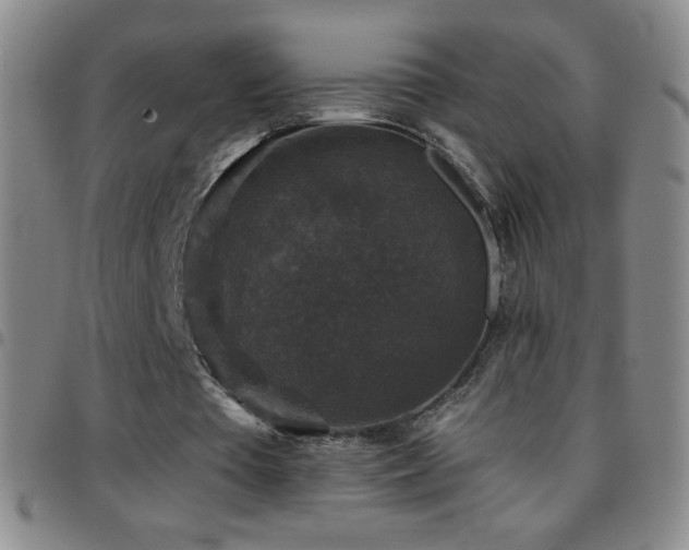 X0000097850385200803141221