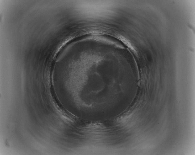X0000097850386200803141221