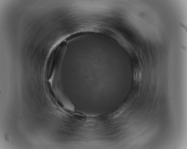 X0000097850388200803141221