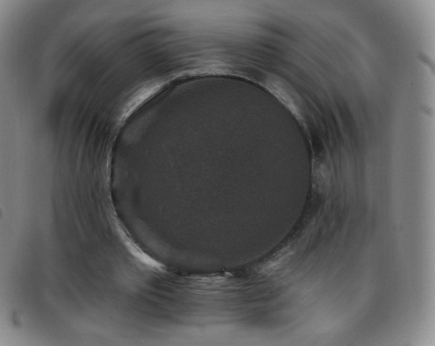X0000097850389200803141221