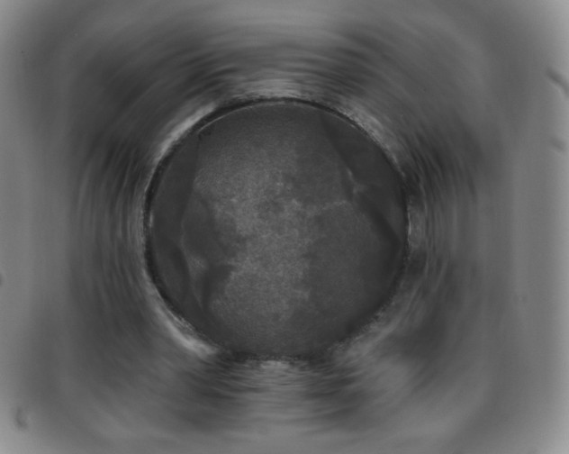X0000097850390200803141221