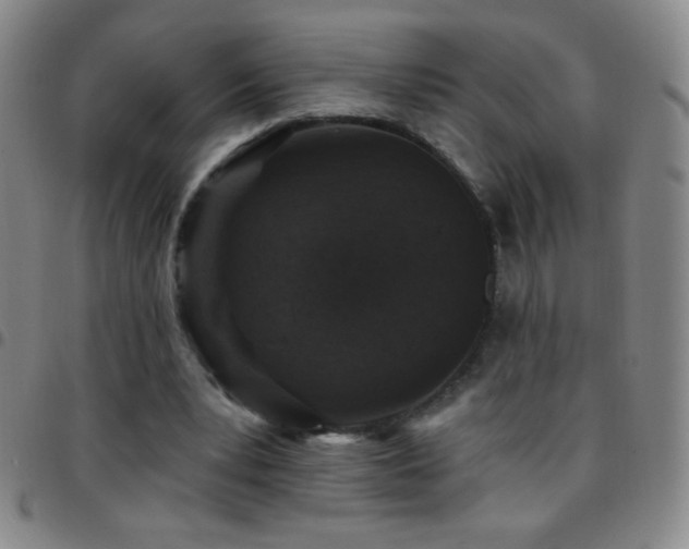 X0000097850391200803141221