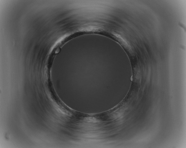 X0000097850392200803141221