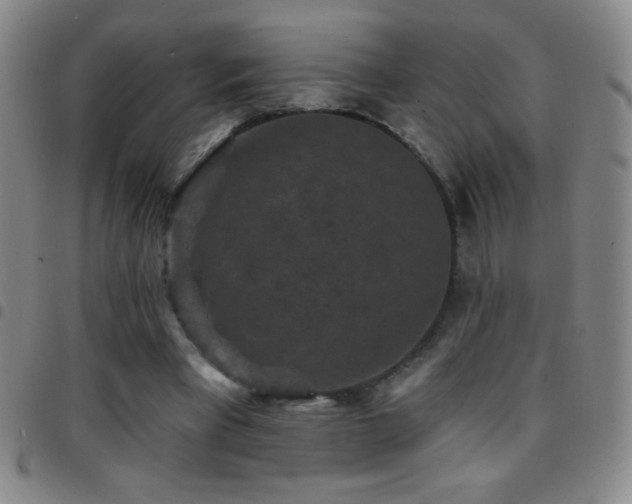 X0000097850393200803141221
