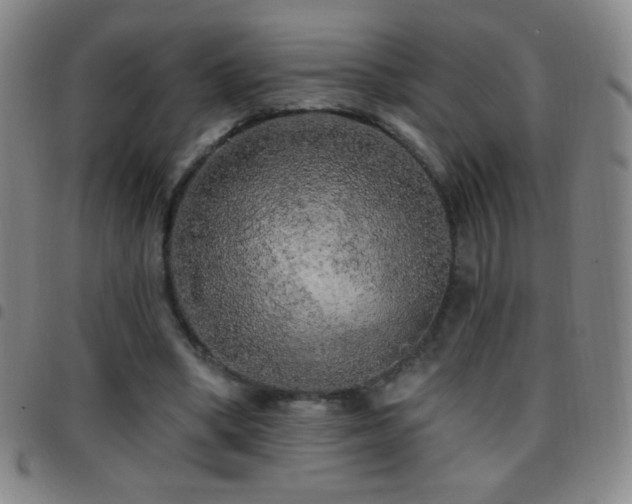 X0000097850394200803141221