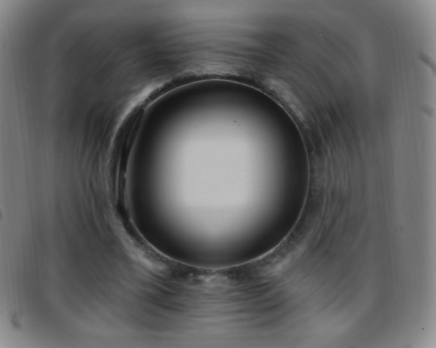 X0000097850395200803141221
