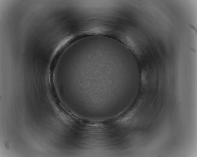X0000097850396200803141221