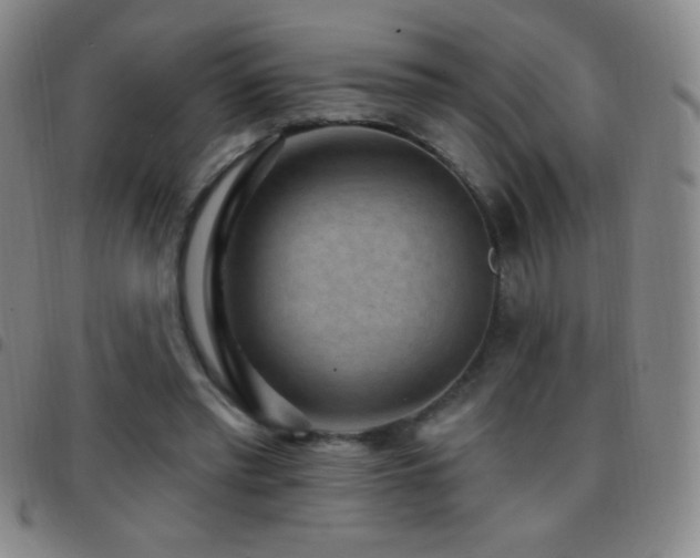 X0000097850397200803141221