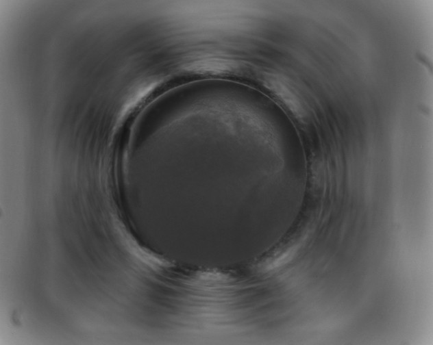 X0000097850399200803141221
