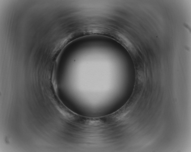 X0000097850401200803141221