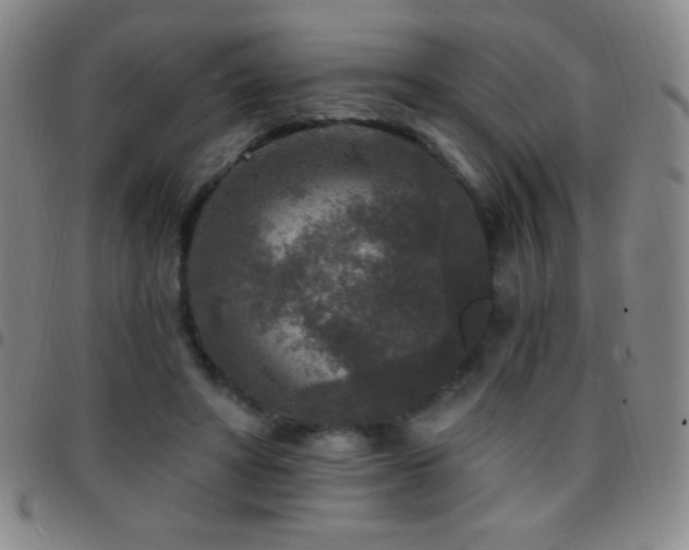 X0000097850402200803141221