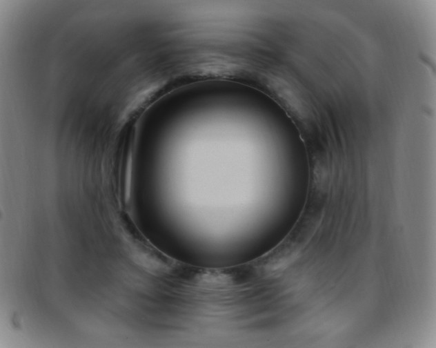 X0000097850403200803141221