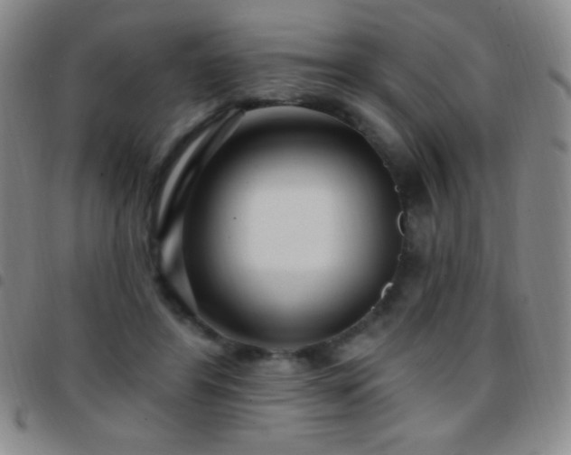 X0000097850404200803141221
