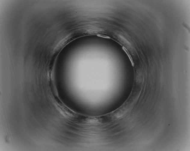 X0000097850405200803141221