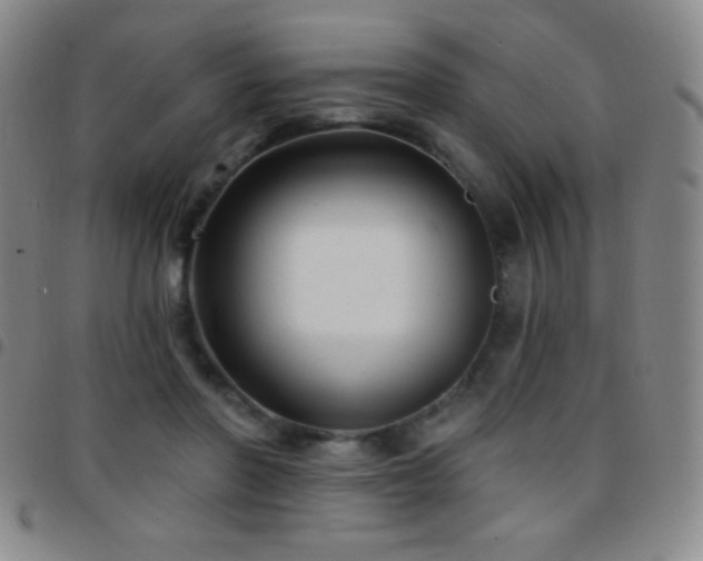 X0000097850406200803141221
