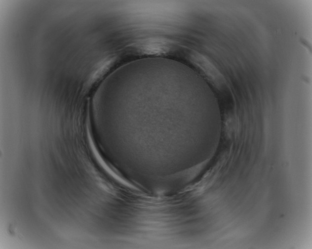 X0000097850407200803141221