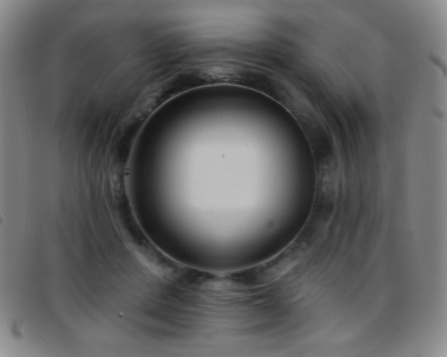 X0000097850408200803141221