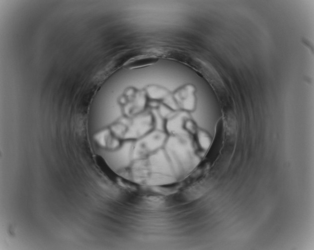 X0000097850409200803141221