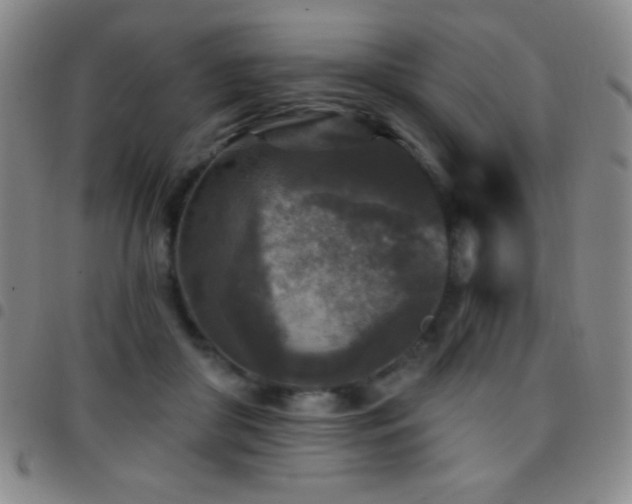 X0000097850410200803141221